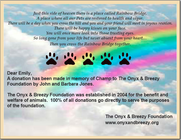 Make A Donation Memorial Contributions The Onyx Breezy Foundation